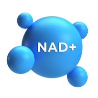 NAD+